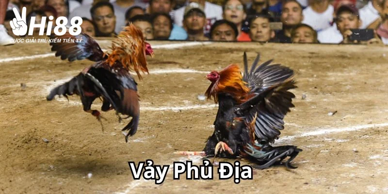 vảy phủ địa